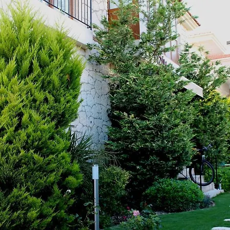 Bizim Ev (adults Only) 2*