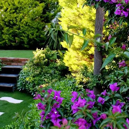 Hotel Bizim Ev (adults Only) Alaçatı