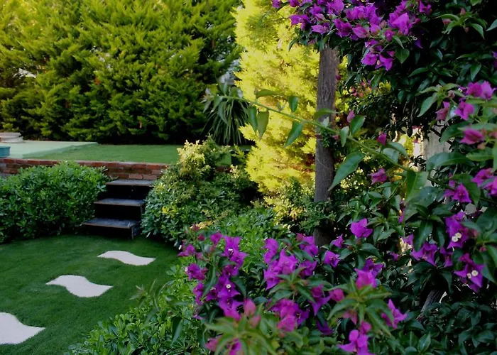 Bizim Ev (adults Only) מלון