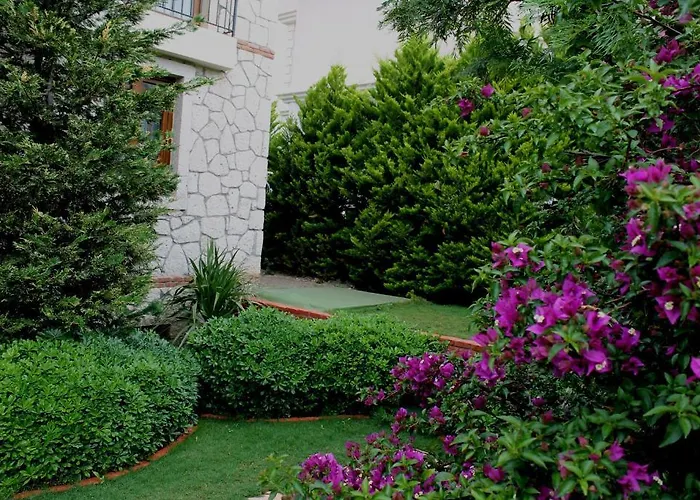 מלון Bizim Ev (adults Only) אלאקאטי