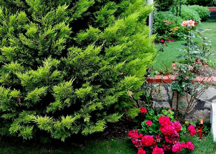 מלון Bizim Ev (adults Only) 2*