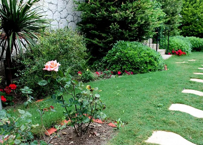 Bizim Ev (adults Only)