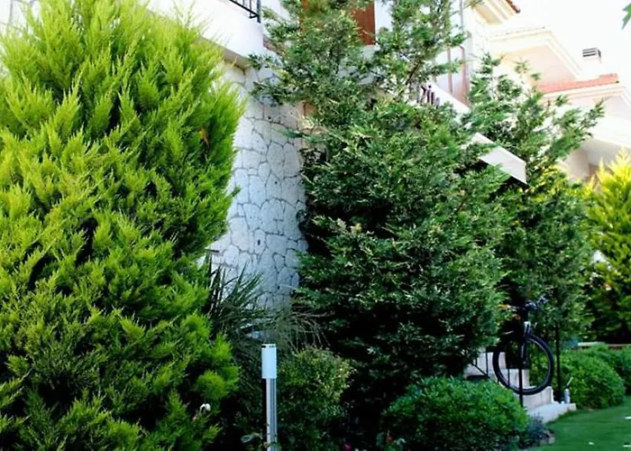 Bizim Ev (adults Only)