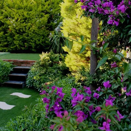 Bizim Ev (adults Only) ホテル