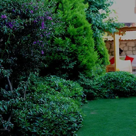 Hotel Bizim Ev (adults Only) 2*