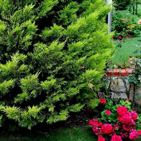 Hotel Bizim Ev (adults Only) 2*