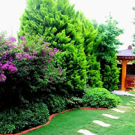 ホテル Bizim Ev (adults Only)