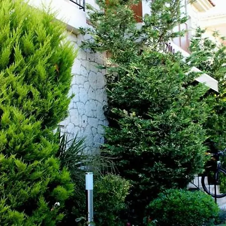 Bizim Ev (adults Only)