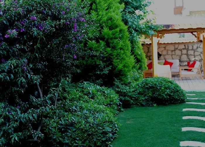 Hotel Bizim Ev (adults Only) 2*