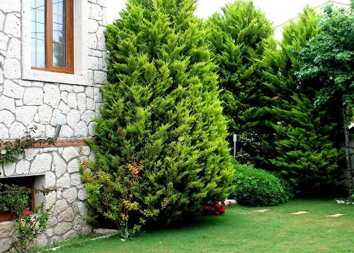 Hotel Bizim Ev (adults Only) Alaçatı